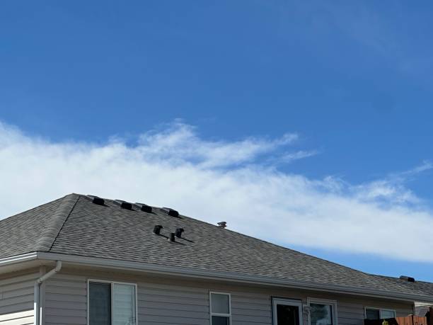 Best Roof Moss and Algae Removal  in Manhattan, MT